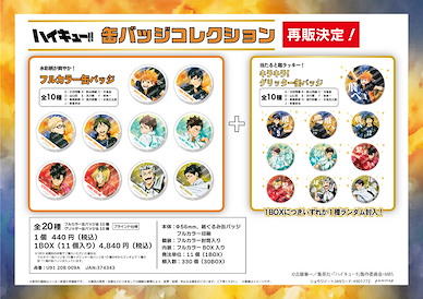 排球少年!! 收藏徽章 TO THE TOP 動畫第 4 季 (11 個入) Can Badge Collection (11 Pieces)【Haikyu!!】