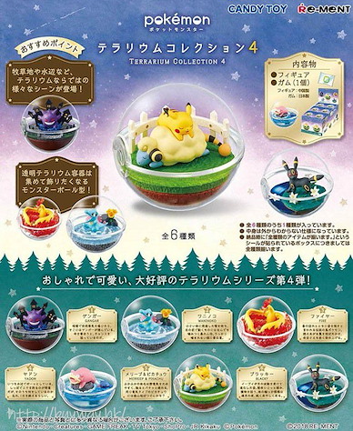 寵物小精靈系列 水晶球 盒玩 4 (6 個入) Terrarium Collection 4【Pokémon Series】
