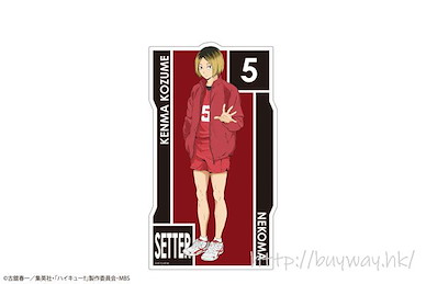 排球少年!! 「孤爪研磨」磁貼 Magnet Sheet 06 Kenma Kozume【Haikyu!!】