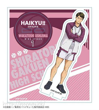 排球少年!! 「牛島若利」隊服 Ver. 亞克力企牌 Acrylic Figure Wakatoshi Ushijima【Haikyu!!】