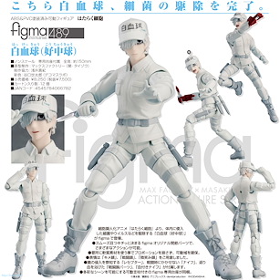 工作細胞 figma「白血球」 figma White Blood Cell (Neutrophil)【Cells at Work!】