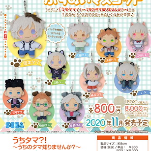 貓狗寵物街 公仔掛飾 (10 個入) Petitnui Mascot (10 Pieces)【Tama and Friends】