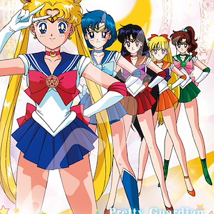 美少女戰士 砌圖 500 塊「登場！五戰士」 Jigsaw Puzzle 500 Piece Toujou! Sailor Fuku Bishoujo Senshi【Sailor Moon】