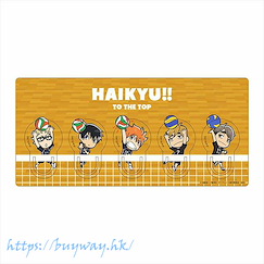 排球少年!! 文件夾 A Clip Set A【Haikyu!!】