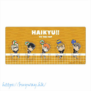 排球少年!! 文件夾 A Clip Set A【Haikyu!!】