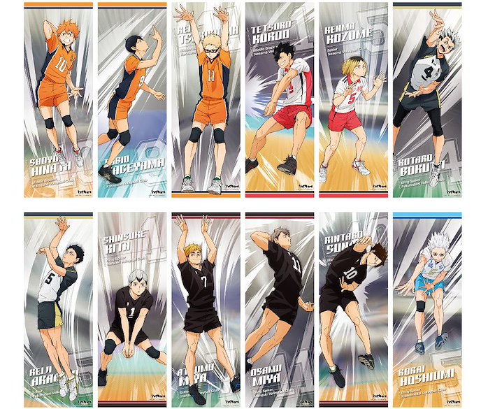 排球少年!! : 日版 收藏海報 (6 個 12 枚入)
