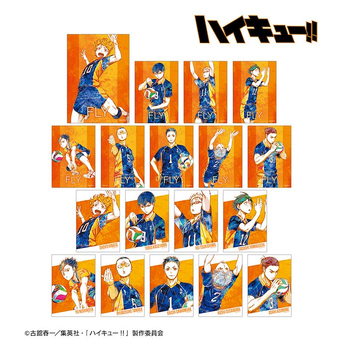 排球少年!! : 日版 Ani-Art 珍藏相片 Vol.2 (18 個入)
