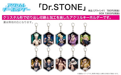 Dr.STONE 新石紀 亞克力匙扣 02 (10 個入) Acrylic Key Chain 02 (10 Pieces)【Dr. Stone】