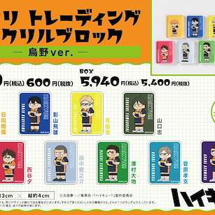 排球少年!! 亞克力方塊 ジロリ -烏野Ver.- (9 個入) Jirori Acrylic Block -Karasuno Ver.- (9 Pieces)【Haikyu!!】