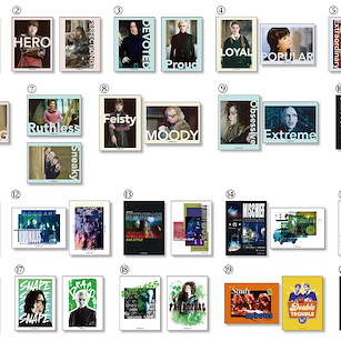 哈利波特系列 貼紙 (20 個入) Art Sticker Collection (20 Pieces)【Harry Potter Series】