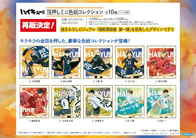 排球少年!! 色紙 加油標語 第一彈 (10 個入) Gilding Mini Shikishi Collection -Banner Copyright Vol. 1- (10 Pieces)【Haikyu!!】