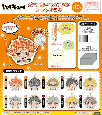 排球少年!! 寶石掛飾 (10 個入) HQ-16 Jewelry Mascot Collection (10 Pieces)【Haikyu!!】
