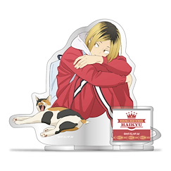 排球少年!! 「孤爪研磨」貓部Ver. 亞克力企牌 Acrylic Stand Cat Club Ver. Kozume Kenma【Haikyu!!】