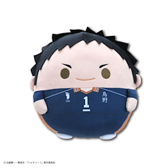 排球少年!! 「澤村大地」30cm 圓碌碌 公仔 HQ-21 Fuwakororin Big 3 A Sawamura Daichi【Haikyu!!】