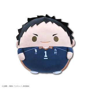 排球少年!! 「澤村大地」30cm 圓碌碌 公仔 HQ-85 Fuwakororin Big 3 A Sawamura Daichi【Haikyu!!】