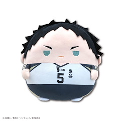 排球少年!! 「赤葦京治」30cm 圓碌碌 公仔 HQ-21 Fuwakororin Big 3 E Akaashi Keiji【Haikyu!!】