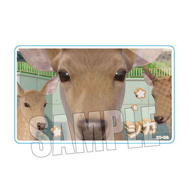 鹿乃子乃子乃子虎視眈眈 「鹿」亞克力咭 Acrylic Card Deer【My Deer Friend Nokotan】
