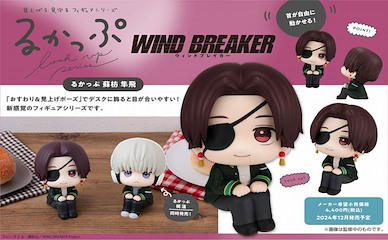 WIND BREAKER—防風少年— 「蘇枋隼飛」抬頭看一看 Look Up Series Suo Hayato【Wind Breaker】