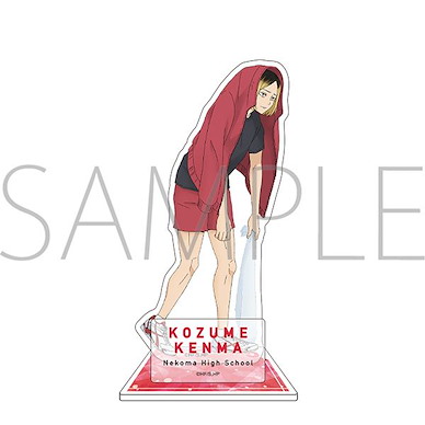 排球少年!! 「孤爪研磨」亞克力企牌 Acrylic Stand Kozume Kenma【Haikyu!!】