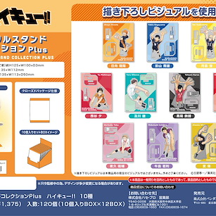 排球少年!! 亞克力企牌 Plus (10 個入) Acrylic Stand Collection Plus (10 Pieces)【Haikyu!!】