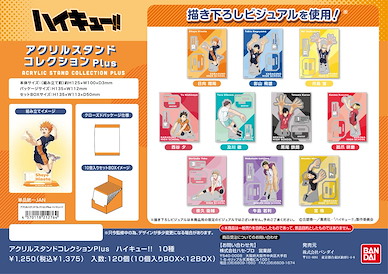 排球少年!! 亞克力企牌 Plus (10 個入) Acrylic Stand Collection Plus (10 Pieces)【Haikyu!!】