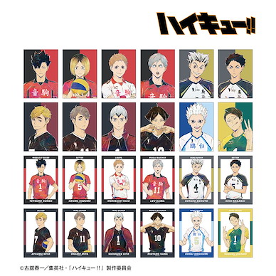 排球少年!! Ani-Art Vol. 6 拍立得相咭 (24 個入) Ani-Art Vol. 6 Bromide (24 Pieces)【Haikyu!!】