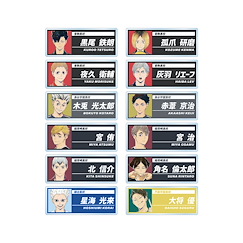 排球少年!! Ani-Art Vol. 6 亞克力名牌 徽章 (12 個入) Ani-Art Vol. 6 Acrylic Name Plate (12 Pieces)【Haikyu!!】