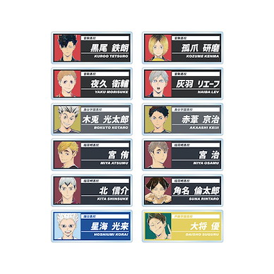 排球少年!! Ani-Art Vol. 6 亞克力名牌 徽章 (12 個入) Ani-Art Vol. 6 Acrylic Name Plate (12 Pieces)【Haikyu!!】