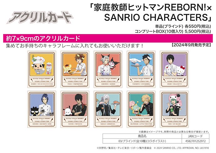 家庭教師HITMAN REBORN! : 日版 亞克力咭 03 Sanrio 合作插圖 (10 個入)