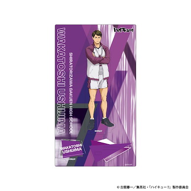 排球少年!! 「牛島若利」木製企牌 Vol.2 Wooden Pop Stand Vol. 2 Ushijima Wakatoshi【Haikyu!!】