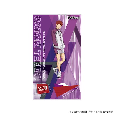 排球少年!! 「天童覺」木製企牌 Vol.2 Wooden Pop Stand Vol. 2 Tendo Satori【Haikyu!!】