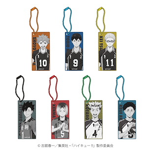 排球少年!! TD 金屬色 匙扣 (7 個入) Metallic Key Chain Vol. 2 (7 Pieces)【Haikyu!!】