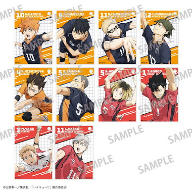 排球少年!! 亞克力咭 (10 個入) Acrylic Card (November, 2024 Edition) (10 Pieces)【Haikyu!!】