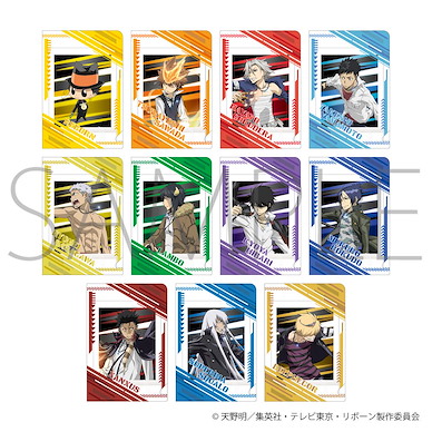 家庭教師HITMAN REBORN! 拍立得相咭 + 透明套 (11 個入) PashaColle File Collection (11 Pieces)【Reborn!】