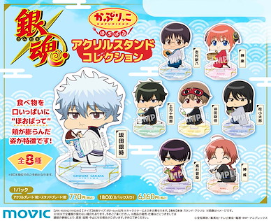 銀魂 亞克力企牌 脹脹臉系列 (8 個入) Kapurikko Hobaru Acrylic Stand Collection (8 Pieces)【Gin Tama】