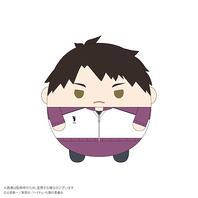 排球少年!! 「牛島若利」20cm 圓碌碌 公仔 9 HQ-71 Fuwakororin (M Size) 9 H Ushijima Wakatoshi Jersey Ver.【Haikyu!!】