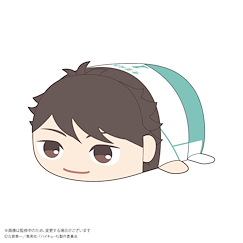 排球少年!! 「及川徹」20cm 團子趴趴公仔 HQ-74 Potekoro Mascot (M Size) D Oikawa Toru【Haikyu!!】