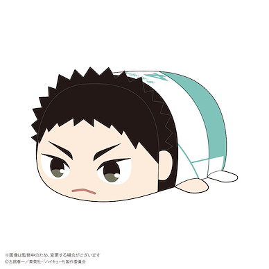 排球少年!! 「岩泉一」20cm 團子趴趴公仔 HQ-74 Potekoro Mascot (M Size) E Iwaizumi Hajime【Haikyu!!】