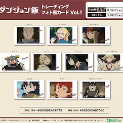 迷宮飯 相片風格 珍藏咭 Vol.1 (10 個入) Photo Style Card Vol. 1 (10 Pieces)【Delicious in Dungeon】