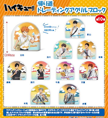 排球少年!! 亞克力方塊 回家路上 (10 個入) On The Way Home Acrylic Block (10 Pieces)【Haikyu!!】