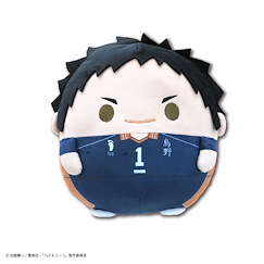 排球少年!! 「澤村大地」20cm 圓碌碌 公仔 HQ-84 Fuwakororin (M Size) 3 A Sawamura Daichi【Haikyu!!】