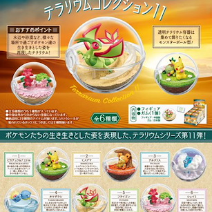 寵物小精靈 水晶球 盒玩 11 (6 個入) Terrarium Collection 11 (6 Pieces)【Pokemon】
