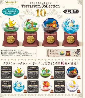 寵物小精靈系列 水晶球 盒玩 10 (6 個入) Terrarium Collection 10 (6 Pieces)【Pokémon Series】