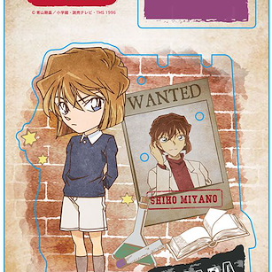 名偵探柯南 「灰原哀」復古系列 亞克力配件架 / 企牌 Vintage Series Accessory Stand Vol. 4 Haibara Ai【Detective Conan】